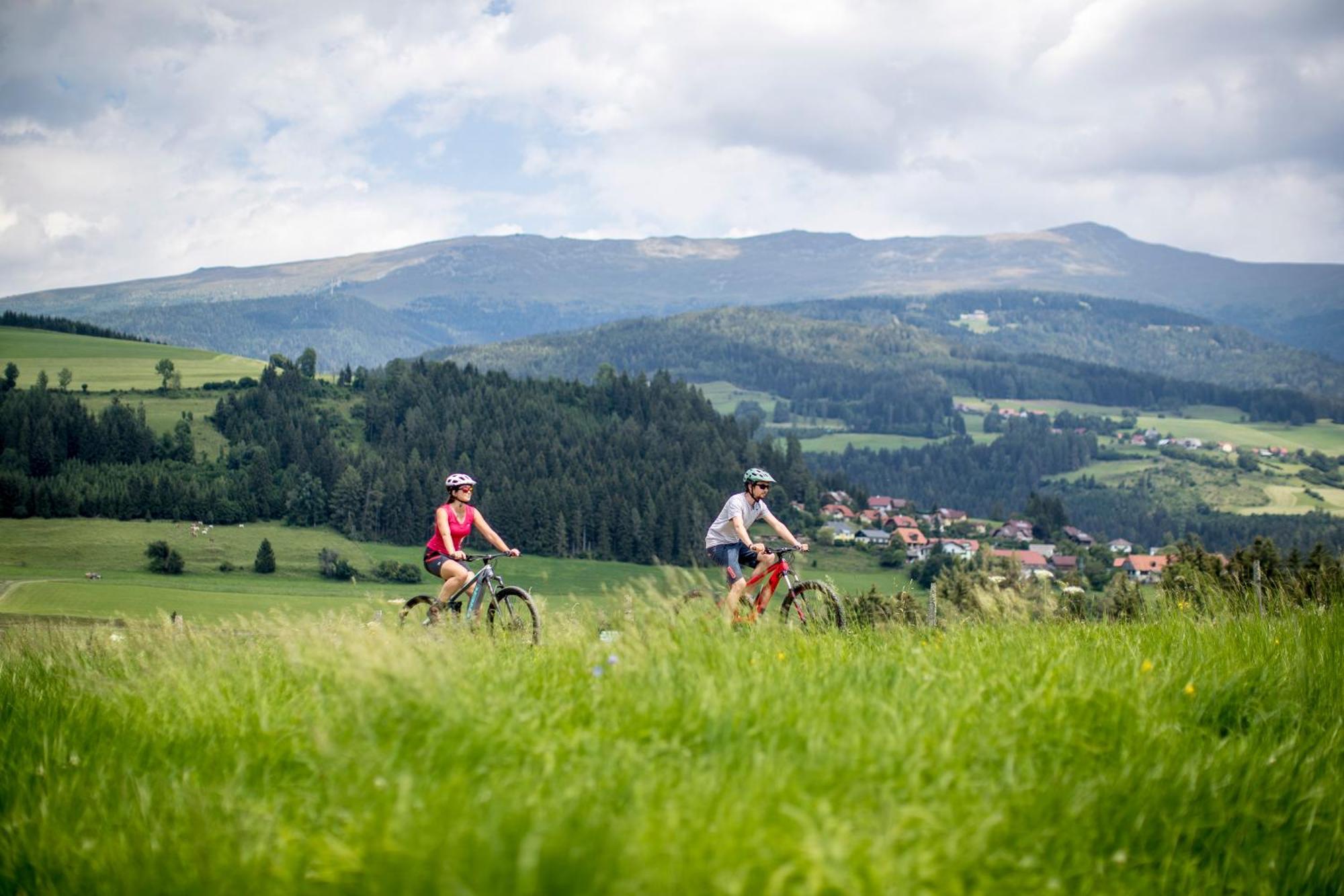 Feriendorf Murau By Alps Resorts Экстерьер фото